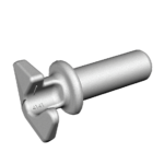 NH cam